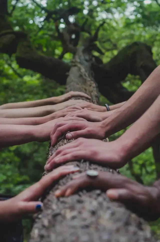 hands all connecting on a log in nature